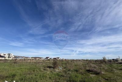 Teren de 4862 mp, în Bordei - 8