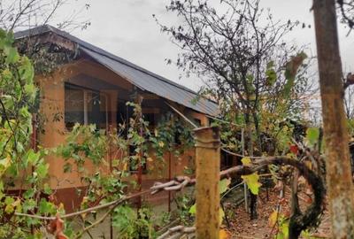 Casă individuală cu 4 camere cu Canalizare în Saraiu - 3