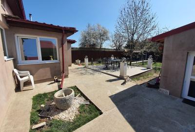 Casa de vacanta | Curte | Teren | Belciugatele | Calarasi - 29