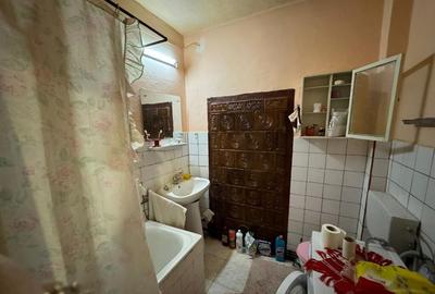 Borlesti, casa , 45 ari teren - 2