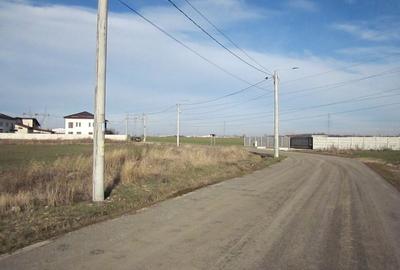 Domnesti-Narciselor - 5