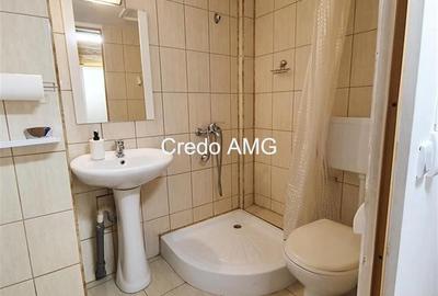 Stefan cel Mare, Vasile Lascar, inchiriere vila singur curte - 14