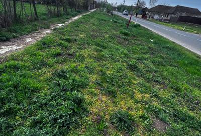 Casă în Grăniceri - 4