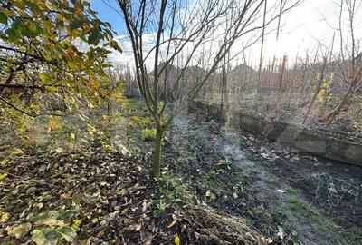 Casuta individuala cu teren generos - 3