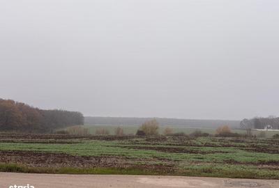 Casă cu 4 camere în Dumbrăveni - 6