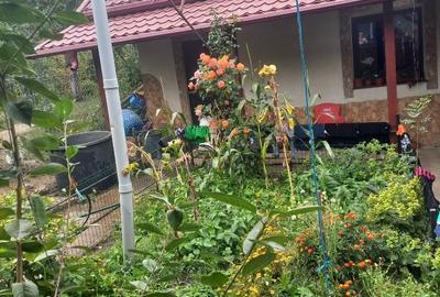 Casă cu 4 camere în Hreațca - 13