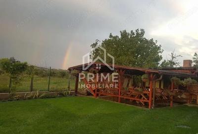 Casă cu 4 camere cu Teren 1004 Mp în Pâclișa - 12