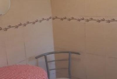 Garsonieră decomandată în Far - 2