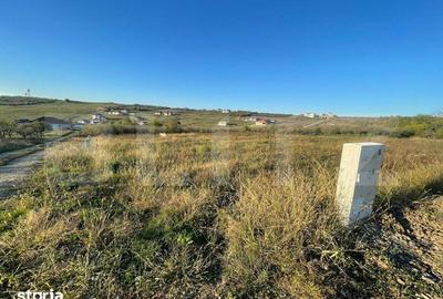 Teren de 630 mp, în Paleu - 2