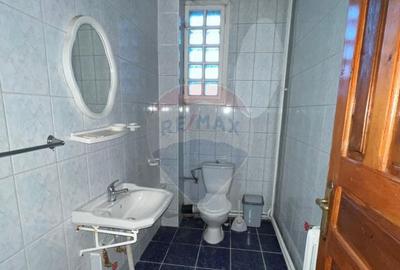 Casa de vancata Bucsoaia - 15