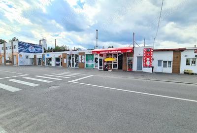 Casă în Calea Doftanei - 8