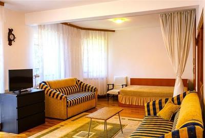 Nivel in vila, 123mp, curte si vedere pretioasa, Predeal,.-.Central, Brasov:FILM - 24