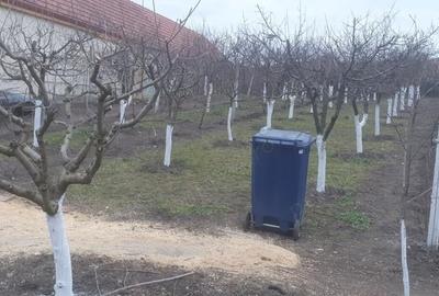 Teren de 966 mp, în Păuca - 5
