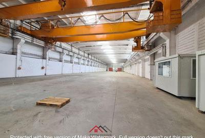 Hale noi in Baicoi, Ph--13.000mp--3e - 17