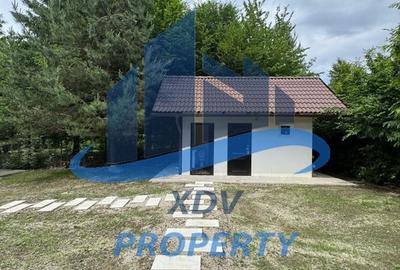 Pensiune/ Vila Valea Avrigului - 28