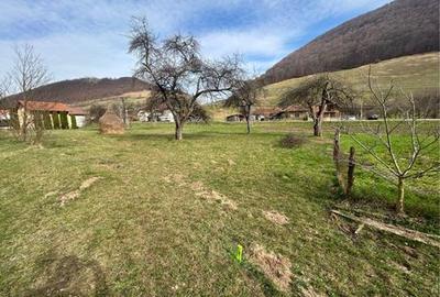 Teren de 1700 mp, în Bulz