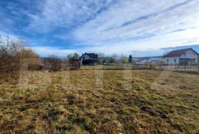 Teren de 25 ari in localitatea Livezile - 1