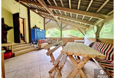 Casa de vacanta, Valea Bozom-Apata Casa de vacanta, Valea Bozom-Apata - 14