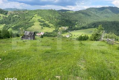 Teren de 20000 mp, în Central - 8