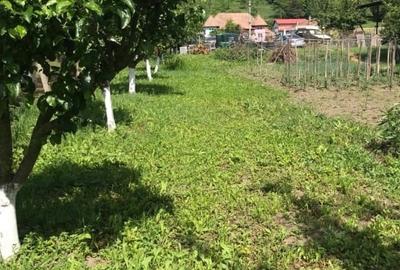 Teren intravilan - 3