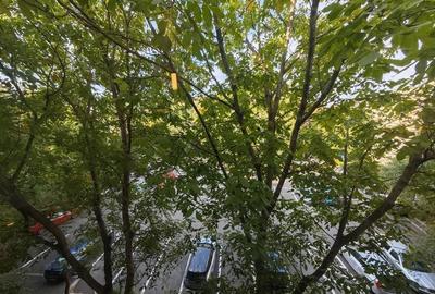 De închririat: apartament 3 camere-Lujerului-Teatrul Masca-Militari - 16