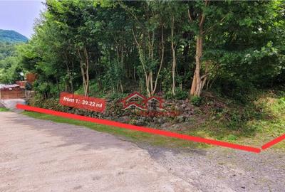 Teren Sacaramb,la20 km deDeva,jud.Hunedoara,comision0 - 2