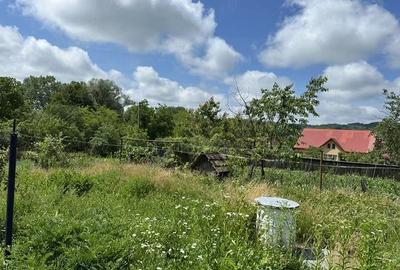 Casă cu Teren 2650 Mp în Nemoiu - 6