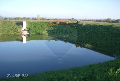 Proprietate industriala de vanzare - 102.420 mp - loc. Zauan jud.Salaj - 11