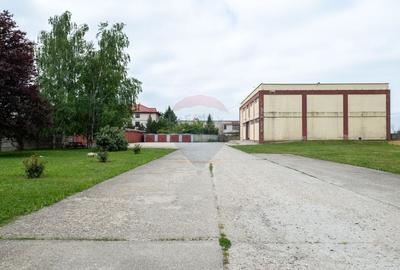 Spațiu industrial, de 1,200 mp, în Cernica - 9