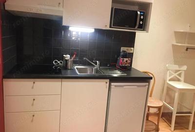 Apartament cu o camera de inchiriat in zona Complex Studentesc - 7