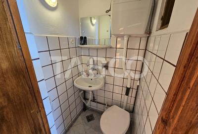 Casa individuala de vanzare 4 camere garaj curte 1310 mp Gusterita - 20