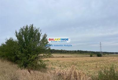 Vanzare teren 3300 mp Peris -deschidere padurea Scrovistea - 5