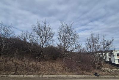 Spațiu comercial, în Central - 1