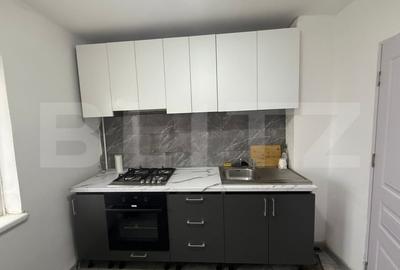 Apartament cu 2 camere decomandat, mobilat în Rovine - 9