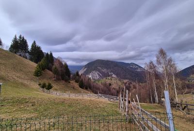 Teren investitie Pestera/ 13570mp extravilan/Comision 0 % - 4