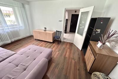 Apartament cu 2 camere semidecomandat, mobilat în Cetate - 2