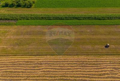 COMISION 0% Teren 3098 mp Brasov / Stupini - 13