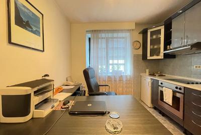 APARTAMENT 2 CAMERE -  ALEEA ALEXANDRU - UTILIZARE MIXTA - LOCUINTA/BIROU APARTAMENT 2 CAMERE -  ALEEA ALEXANDRU - UTILIZARE MIXTA - LOCUINTA/BIROU - 16