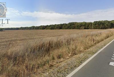Teren agricol extravilan de 9378 mp, în Gruiu