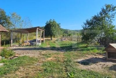 Doua unitati locative tip cabana - sat Pojoga, jud. Hunedoara - teren 1706 mp - 13
