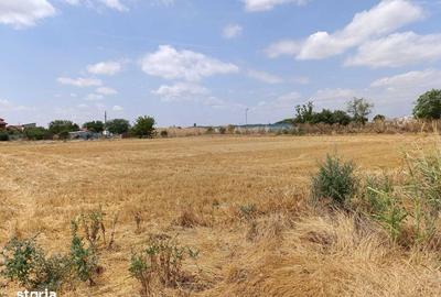 Teren de 1040 mp, în Cornetu - 6