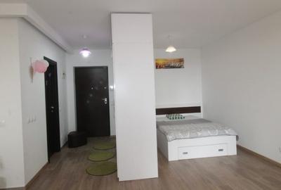 Garsonieră semidecomandată în Tineretului - 13