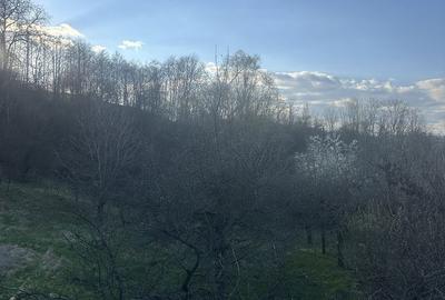 Teren de 2800 mp, în Văleni-Dâmbovița - 2