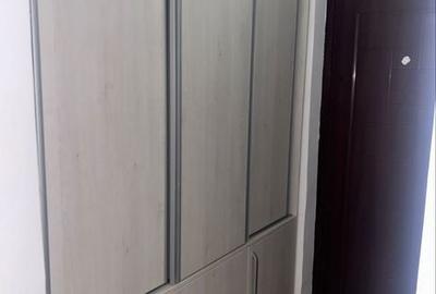 Garsonieră în Brazda lui Novac - 2