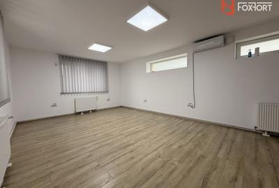 Vila individuala de inchiriat in Timisoara – zona Freidorf - 30