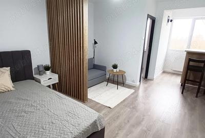 Inchiriere garsoniera, Costin Georgian 8 minute metrou (600m) - 8