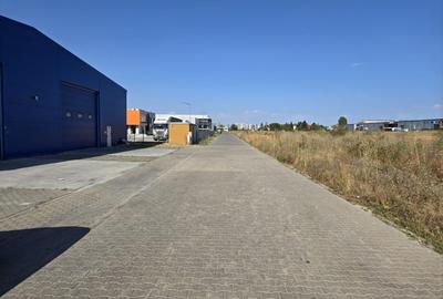 Teren 4000 mp Drumul intre Tarlale - 5
