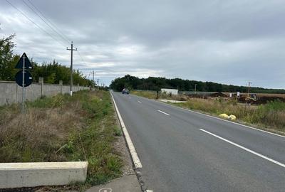 TEREN INTRAVILAN 794 MP MOARA VLASIEI / GRADISTEA - 7
