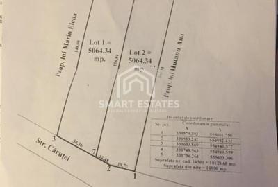 Teren Construcții intravilan de 5042 mp, în Giurgiului - 1