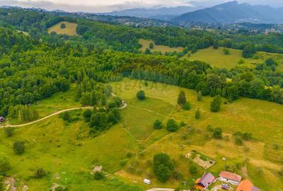 Teren Parcul National Bucegi/Str Glajarie Rau Mare/Panice... - 6